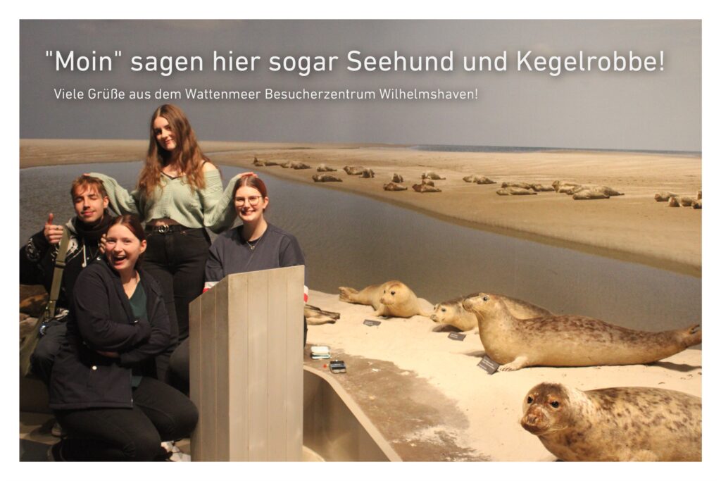 Bild der Gruppenmitglieder (von links: Tom, Pia, Britta und Svea). Im Hintergrund sieht man eine Ausstellung mit Seehunden aus dem Wattenmeerbesucherzentrum.