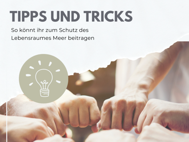 Coverbild Tipps und Tricks