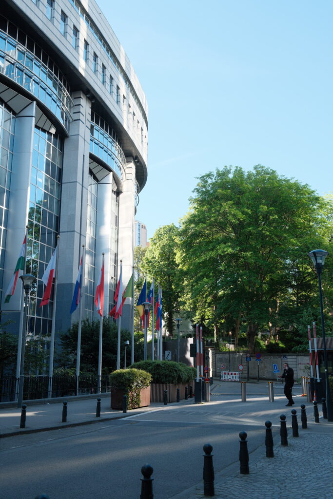Foto vom EU-Parlament in Brüssel. Ein großer Baum ist im Hintergrund zu sehen. I Foto: EPRS-Briefing “European Parliament: Facts and figures“, erstellt von Lucille Killmayer, Europäisches Parlament, Brüssel 2024.