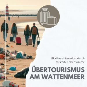 Menschen laufen mit ihren Koffern am Strand entlang, während ein toter Seehund zwischen Müll liegt.